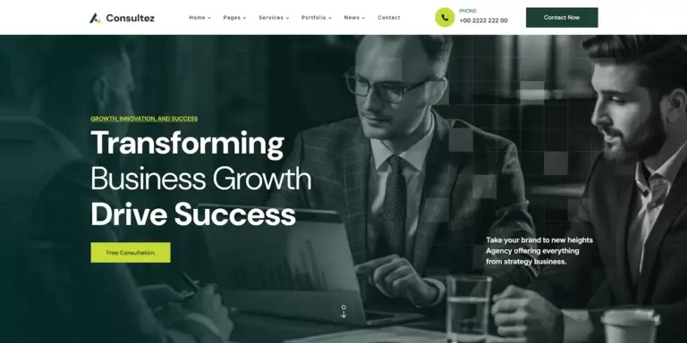 Portfolio | Consultez