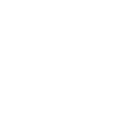SEO teksten | Icon Wit